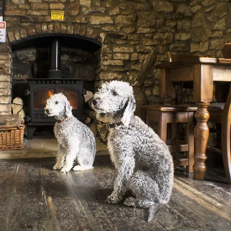The Royal Oak 3*